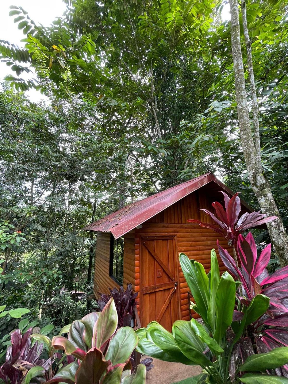 Arenal Rustic Lodge La Fortuna Εξωτερικό φωτογραφία