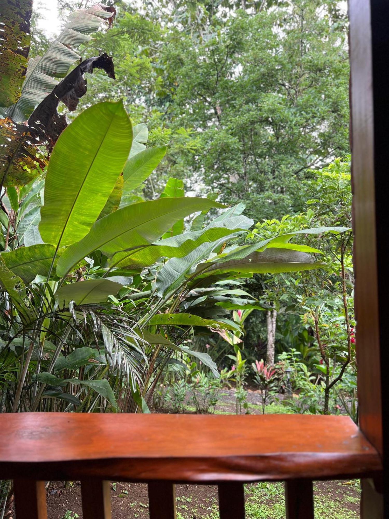 Arenal Rustic Lodge La Fortuna Εξωτερικό φωτογραφία